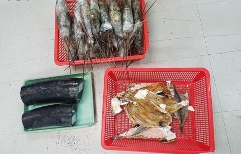 Phat hien nga voi 'doi lot' tom hum qua duong hang khong tai TP.HCM hinh anh