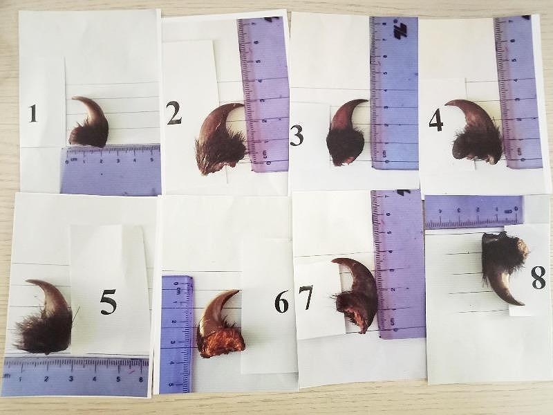 Mạng xã hội ảnh 1 Mang xa hoi anh 1