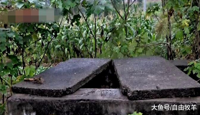 Hài cốt trong bể nước hoang phế  ảnh 3 Hai cot trong be nuoc hoang phe anh 3