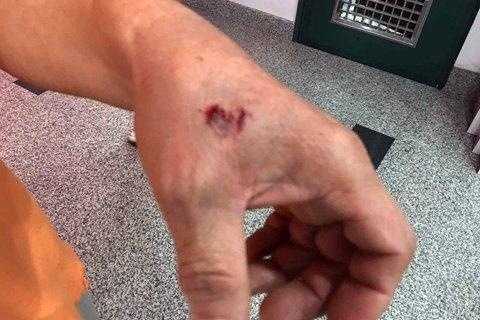 Co gai can tay 'yeu rau xanh' sau buoi toi tap van nghe o thon hinh anh