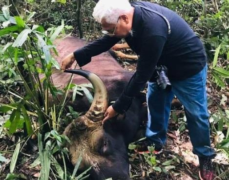 Lai phat hien xac bo tot nang khoang 800 kg trong khu bao ton hinh anh