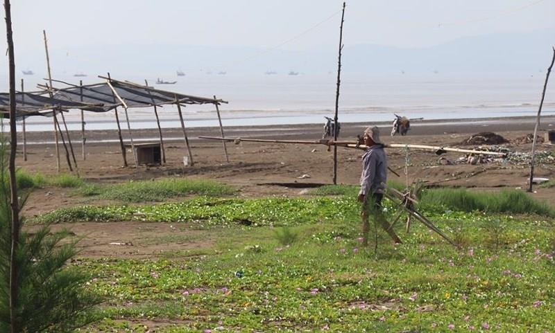 tai xe taxi xam hai be gai sau khi gay tai nan anh 1