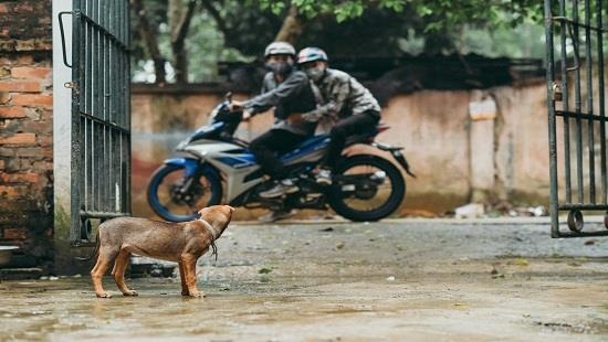 Bat 2 ke trom cho, giet nguoi khi bi truy duoi hinh anh