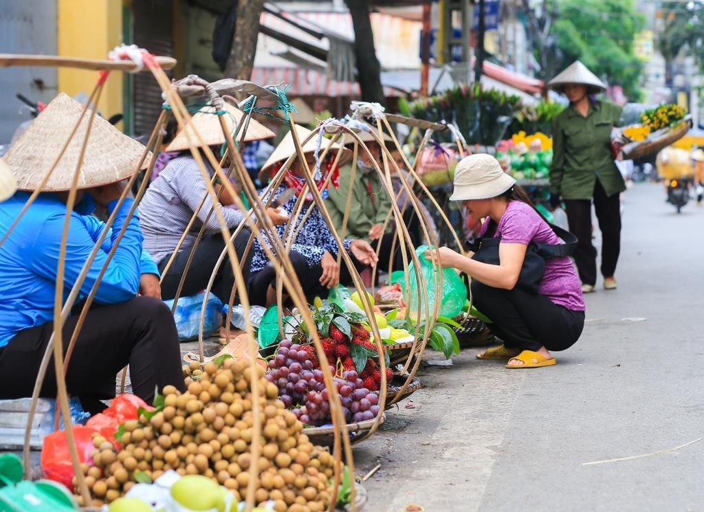 Ha Noi co 40 tuyen pho khong ban trai cay duoi long duong hinh anh