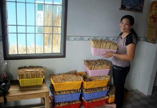 Dung Zalo de van dong chong rac thai nhua, ung ho ong hut bang cay say hinh anh