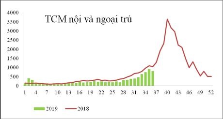 dich benh tay chan mieng tai TP.HCM anh 1