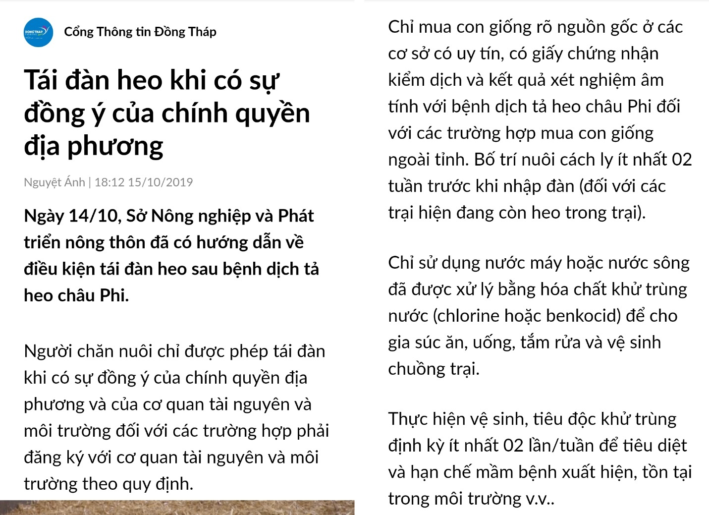 dịch tả Châu Phi ảnh 1 dich ta Chau Phi anh 1