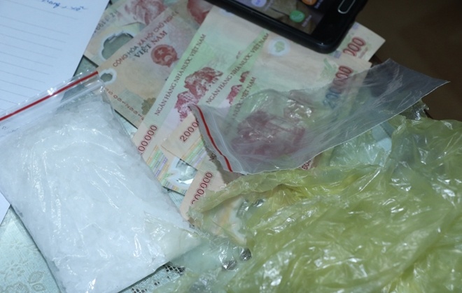 Cat giau ma tuy tren cay anh 1