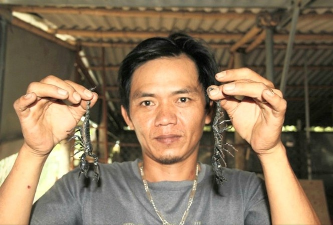 Chuyen hoan luong cua chu trang trai bo cap hinh anh