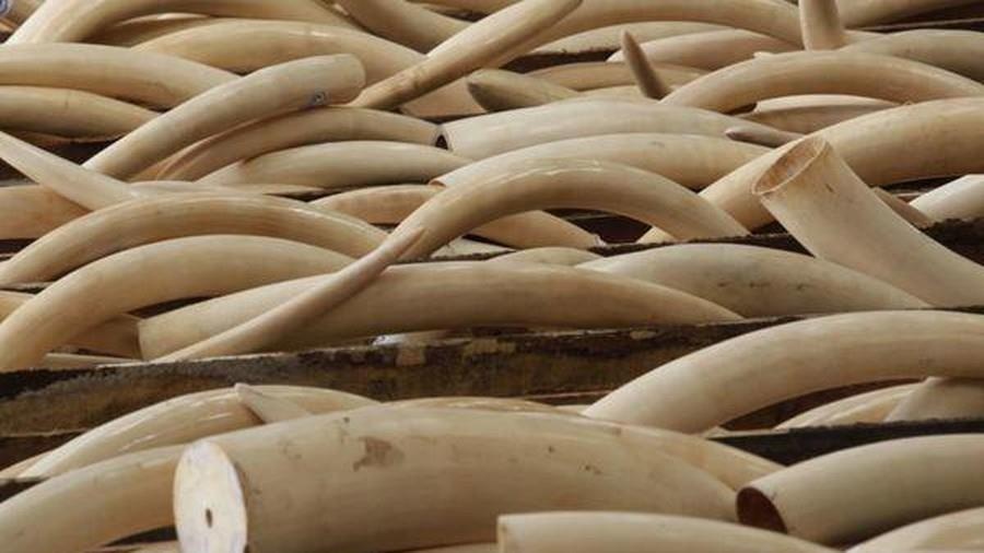 Co gai Ha Noi buon bao tai nga voi hinh anh