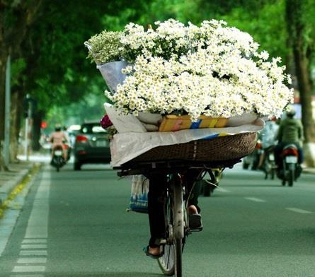 Nhu moi chieu, ta de lai pho xa ngoai kia hinh anh