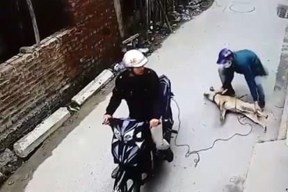 Ten trom cho nhay xuong ao khi gap canh sat giao thong hinh anh