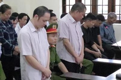 Ai nho nang diem cho con ong Trieu Tai Vinh? hinh anh