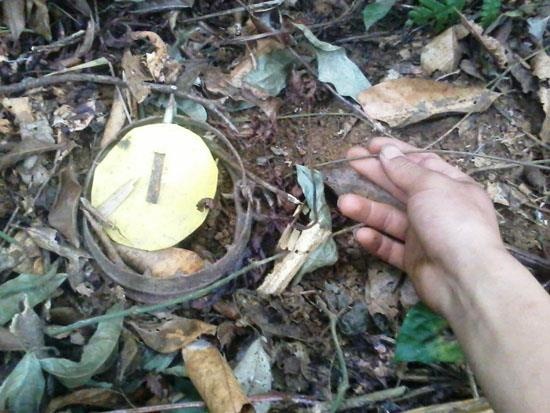 Di bay thu trong rung, nguoi dan ong bi ban thung bung hinh anh