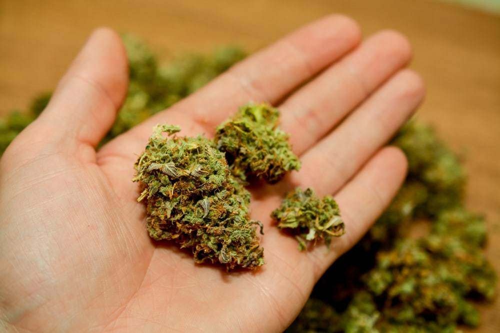 Phat hien co My trong lo hang dien tu gui di may bay hinh anh