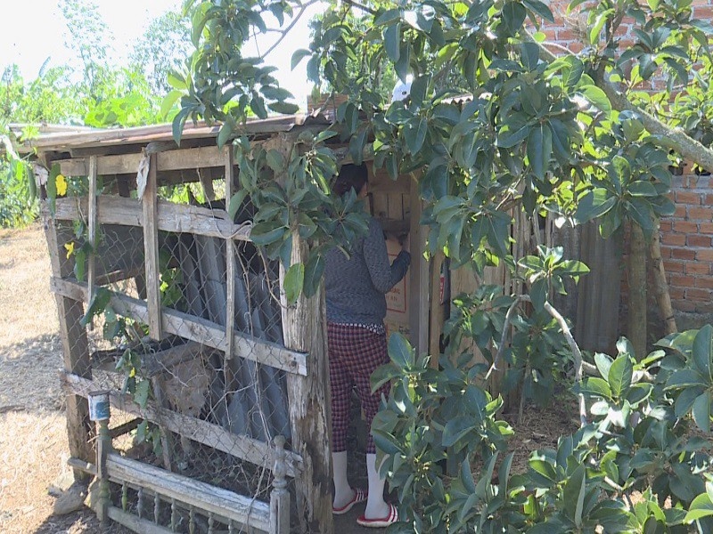 Giau hang nghin bao thuoc la ngoai trong chuong ga hinh anh