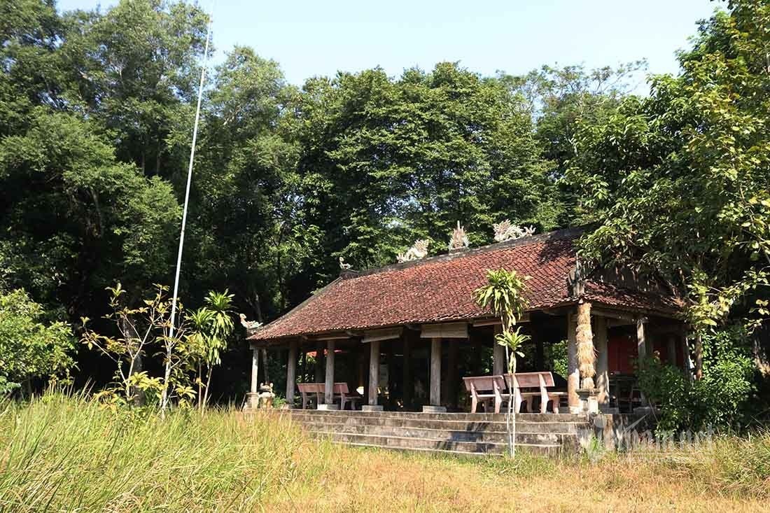 bi an rung lim co thu anh 2