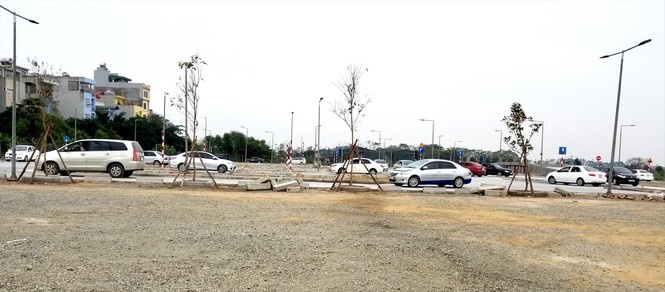 hoc bang lai xe anh 1