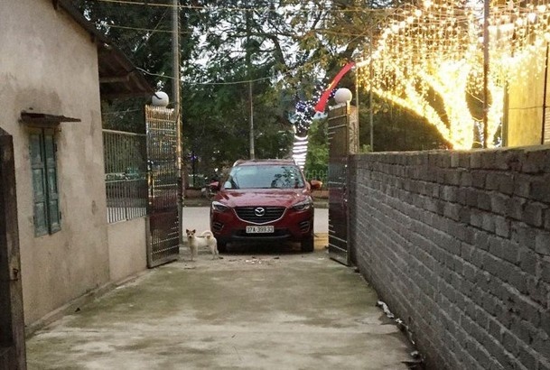 Hai bo con chu quan tra chanh bi khoi to vi danh bac si nhap vien hinh anh