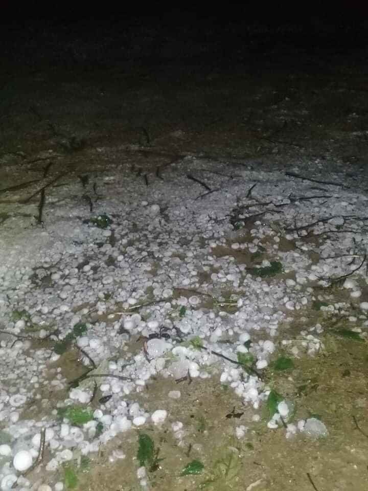 mua da dien rong anh 1