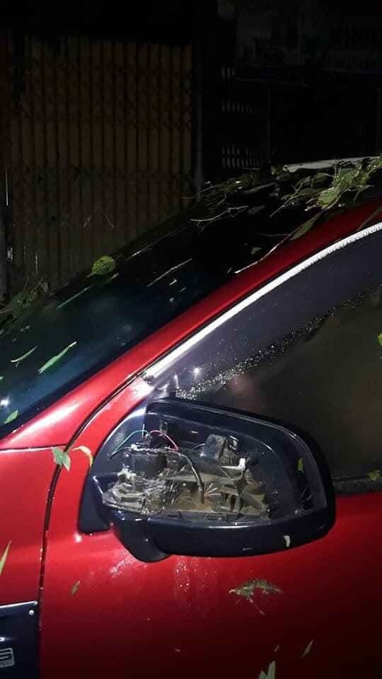 mua da dien rong anh 9