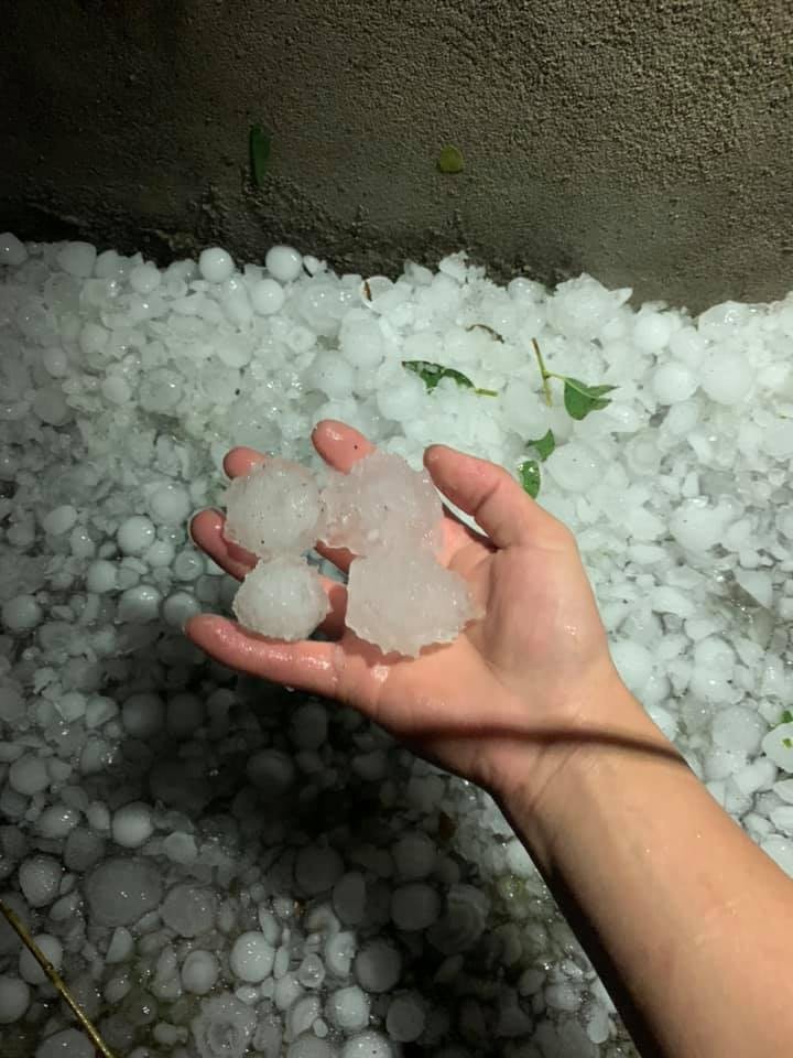 mua da dien rong anh 2