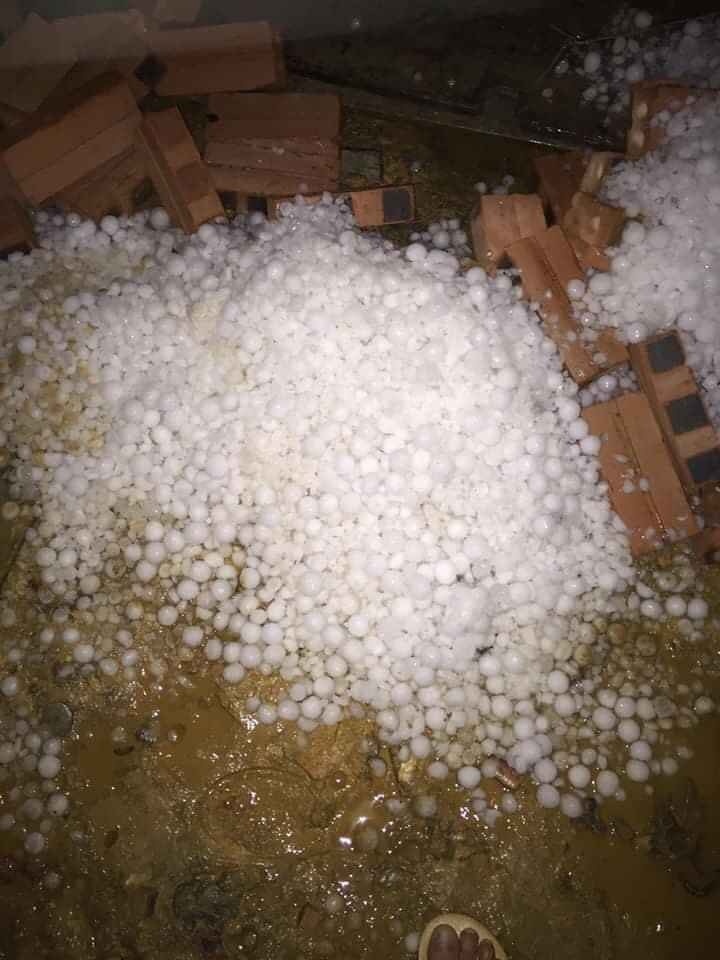 mua da dien rong anh 3