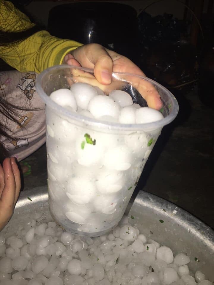 mua da dien rong anh 7