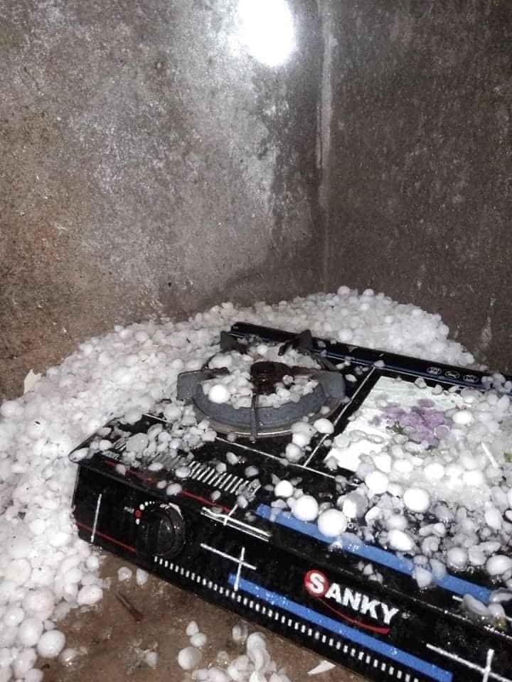 mua da dien rong anh 8