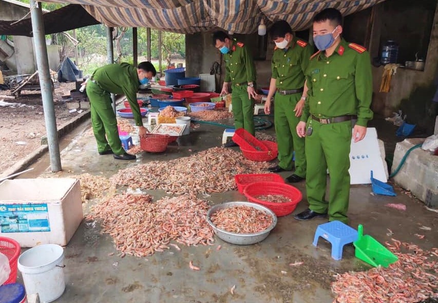 Tom chet lam tom non anh 1