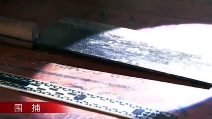 Giet vo phi tang xac, anh 2