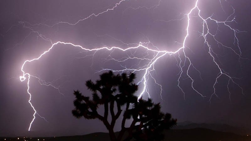 Tru mua duoi goc cay, 3 phu nu bi set danh tu vong hinh anh