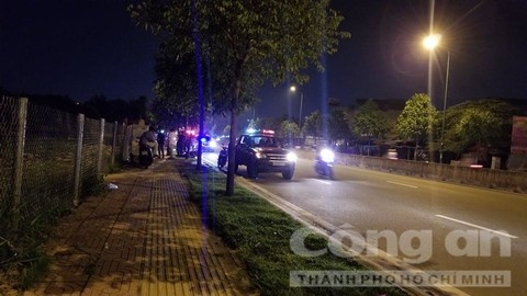 dan canh cuop tien anh 1