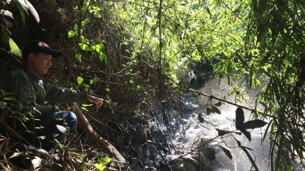 Dan to nha may mi xa nuoc thai dac quanh nhu keo, dau doc ca dong suoi hinh anh