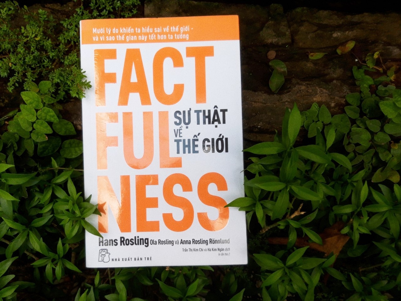 Nhung cuon sach giup thay doi cach nhin ve the gioi hinh anh