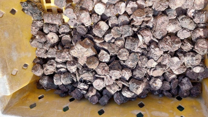 Ngu dan Quang Binh phat hien kho tien xu co duoi day bien hinh anh