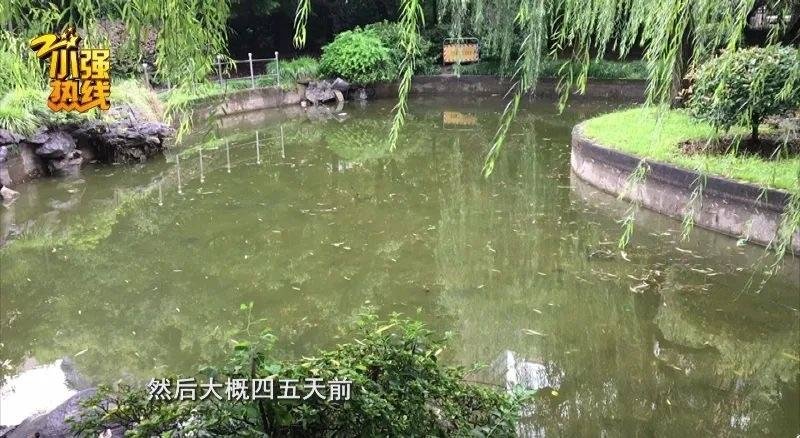 Thi thể người phụ nữ ảnh 2 Thi the nguoi phu nu anh 2