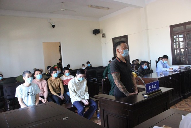 pha hoai rung thong anh 1