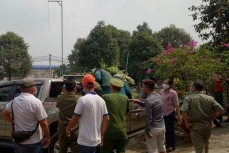Khong che ke ngao da chot cua, phong hoa doi chet trong khu chung cu hinh anh