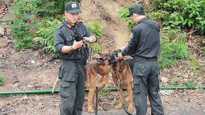 Bat giu nghi pham chem 4 nguoi sau 16 ngay tron tren rung hinh anh