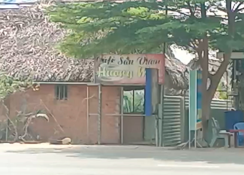 can nu tiep vien anh 1