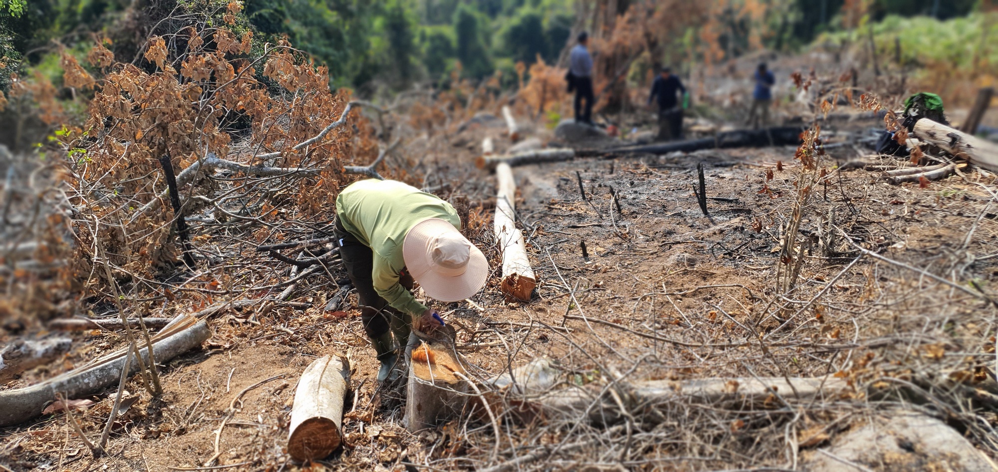 Ba ke bit mat tan cong nhan vien bao ve rung o Lam Dong hinh anh