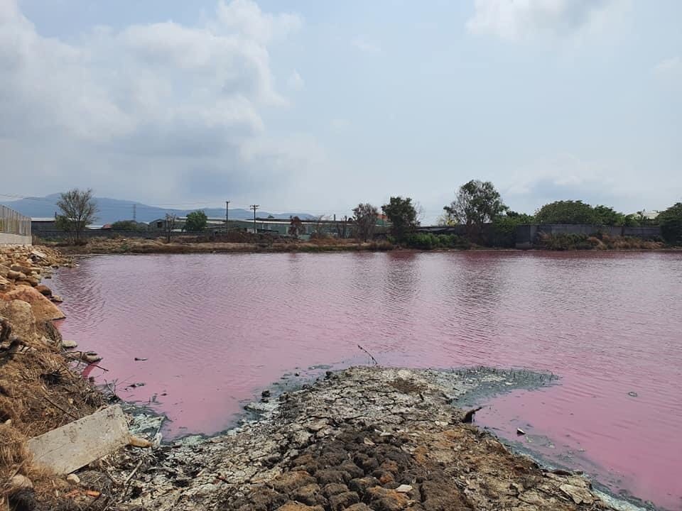 Nuoc ho chuyen mau hong, boc mui hoi thoi hinh anh