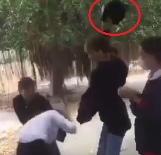 Dieu tra vu nu sinh lop 8 bi danh hoi dong hinh anh