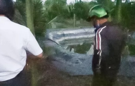 3 chau nho duoi nuoc anh 1