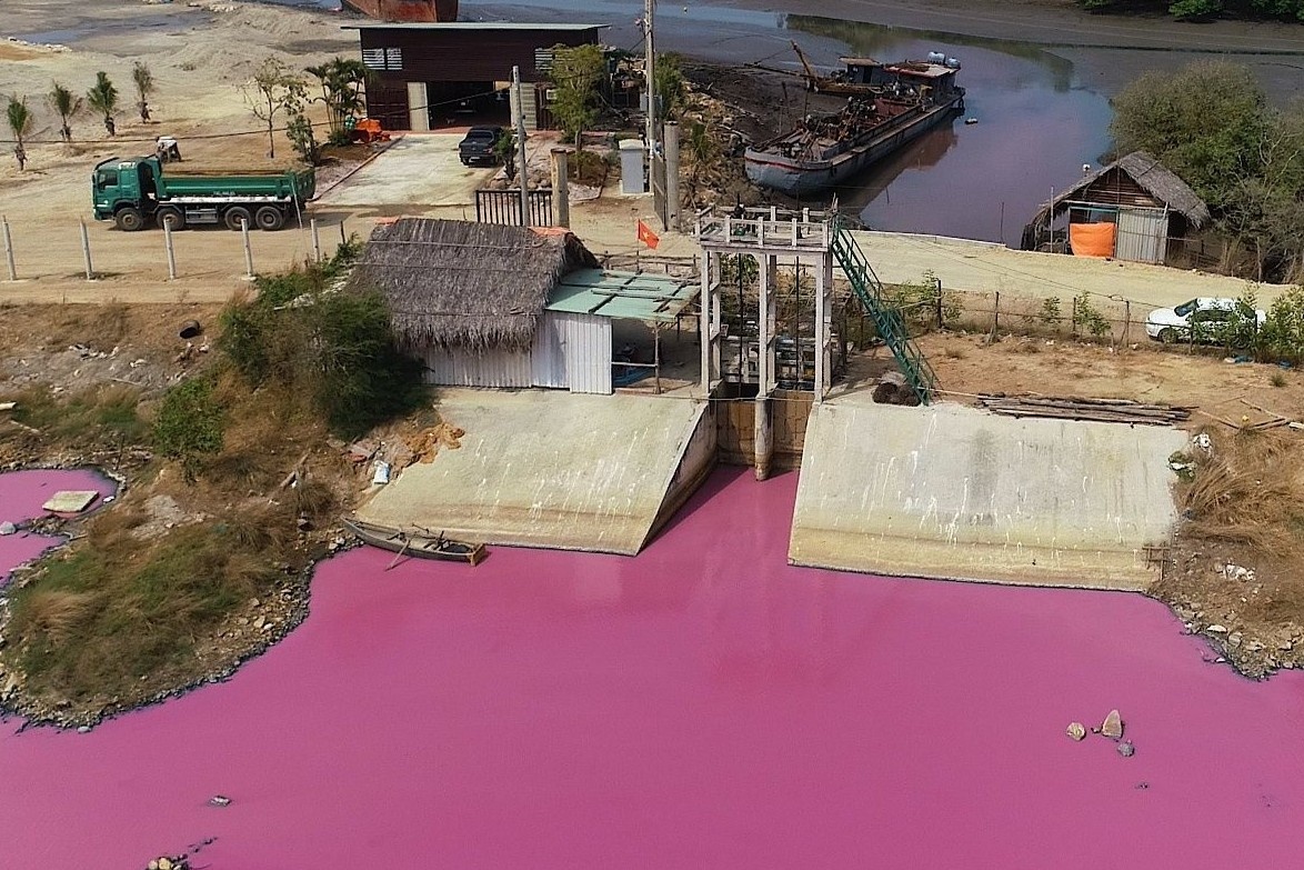 Nguyen nhan khien nuoc dam doi mau hong tim hinh anh