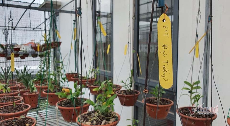 bi mat ve lan dot bien anh 5