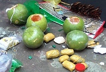 Giau ma tuy vao 3 trai cam khoet ruot hinh anh