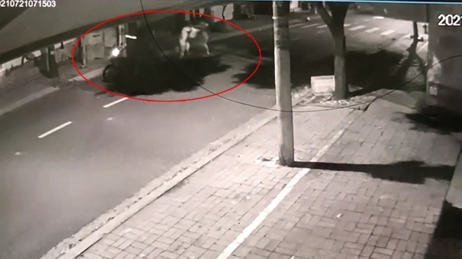 Trom cho xit hoi cay anh 1