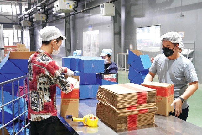 Tín dụng đen khủng bố  ảnh 1 Tin dung den khung bo anh 1